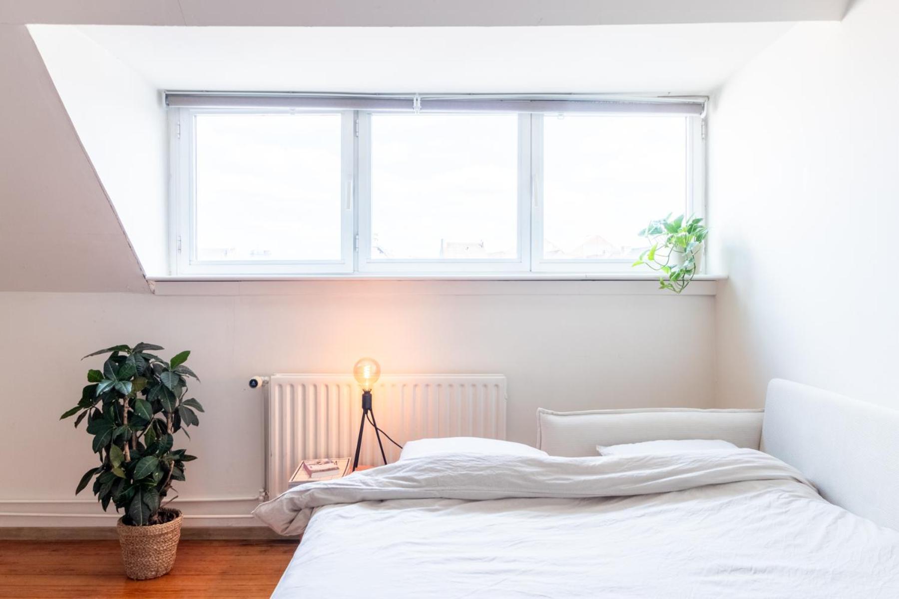 Guesthouse Private Studio Nearby Old Town Gent Dış mekan fotoğraf